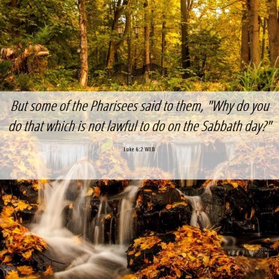 Picture 06 - Luke 6:2 WEB - But some of the Pharisees said to them, 