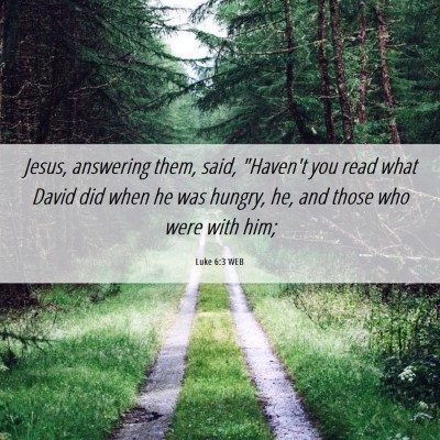 Picture 06 - Luke 6:3 WEB - Jesus, answering them, said, 