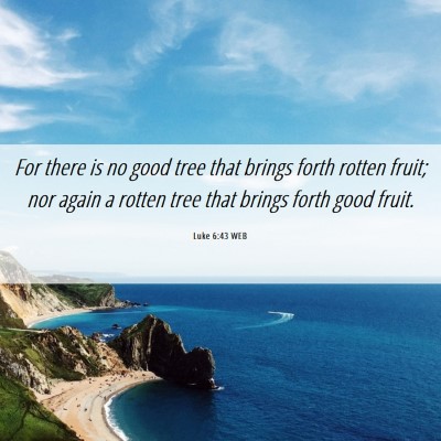 Picture 06 - Luke 6:43 WEB - For there is no good tree that brings forth - Bible Verse Picture