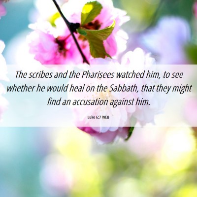 Picture 06 - Luke 6:7 WEB - The scribes and the Pharisees watched him, to see - Bible Verse Picture