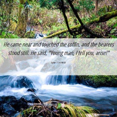 Picture 06 - Luke 7:14 WEB - He came near and touched the coffin, and the - Bible Verse Picture