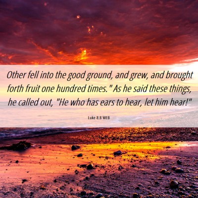 Picture 06 - Luke 8:8 WEB - Other fell into the good ground, and grew, and - Bible Verse Picture