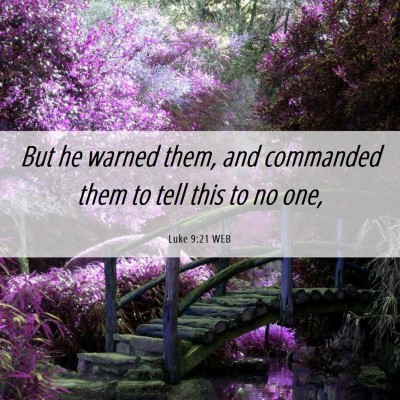 Picture 06 - Luke 9:21 WEB - But he warned them, and commanded them to tell - Bible Verse Picture