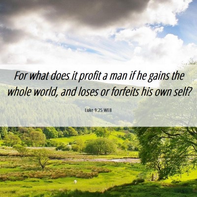Picture 06 - Luke 9:25 WEB - For what does it profit a man if he gains the - Bible Verse Picture