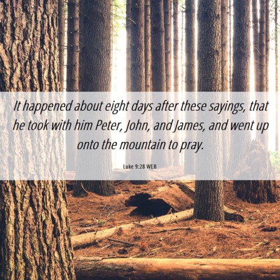 Picture 06 - Luke 9:28 WEB - It happened about eight days after these sayings, - Bible Verse Picture