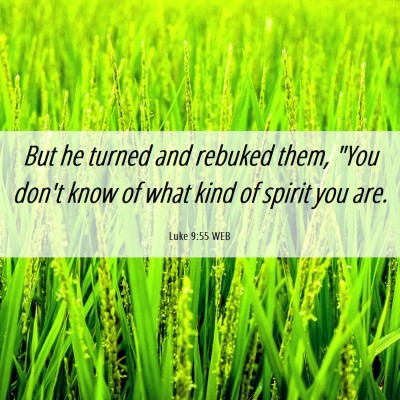 Picture 06 - Luke 9:55 WEB - But he turned and rebuked them, 