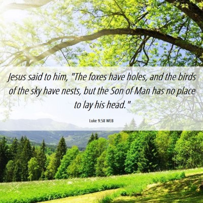 Picture 06 - Luke 9:58 WEB - Jesus said to him, 