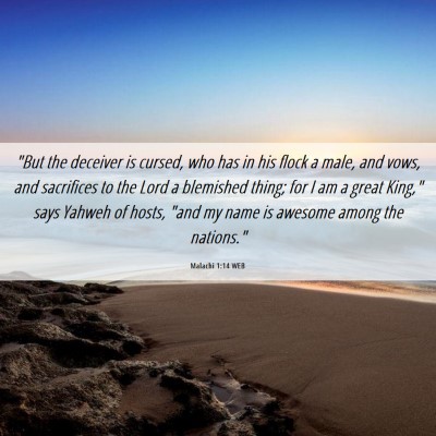 Picture 06 - Malachi 1:14 WEB - 