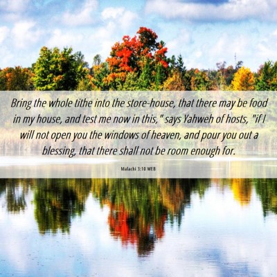 Picture 06 - Malachi 3:10 WEB - Bring the whole tithe into the store-house, that - Bible Verse Picture