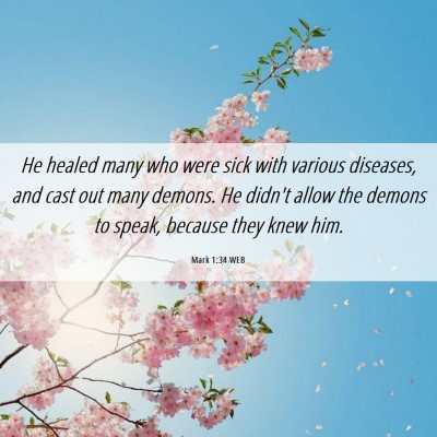 Picture 06 - Mark 1:34 WEB - He healed many who were sick with various - Bible Verse Picture