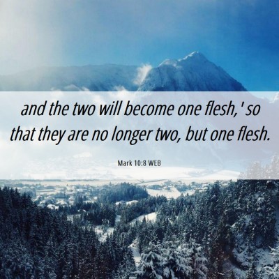 Picture 06 - Mark 10:8 WEB - and the two will become one flesh,' so that they - Bible Verse Picture