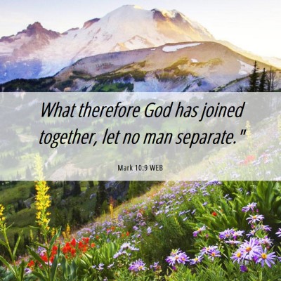 Picture 06 - Mark 10:9 WEB - What therefore God has joined together, let no - Bible Verse Picture