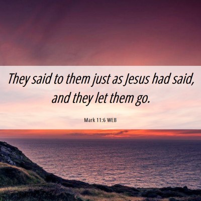 Picture 06 - Mark 11:6 WEB - They said to them just as Jesus had said, and - Bible Verse Picture