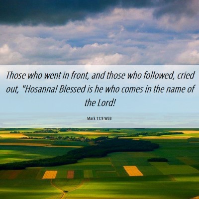 Picture 06 - Mark 11:9 WEB - Those who went in front, and those who followed, - Bible Verse Picture