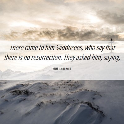 Picture 06 - Mark 12:18 WEB - There came to him Sadducees, who say that there - Bible Verse Picture