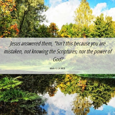 Picture 06 - Mark 12:24 WEB - Jesus answered them, 