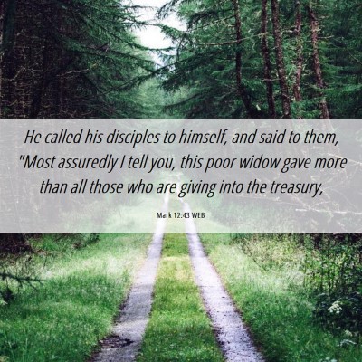 Picture 06 - Mark 12:43 WEB - He called his disciples to himself, and said to - Bible Verse Picture