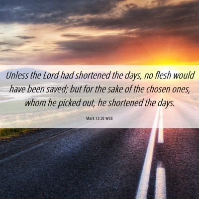Picture 06 - Mark 13:20 WEB - Unless the Lord had shortened the days, no flesh - Bible Verse Picture