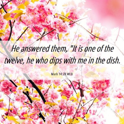 Picture 06 - Mark 14:20 WEB - He answered them, 