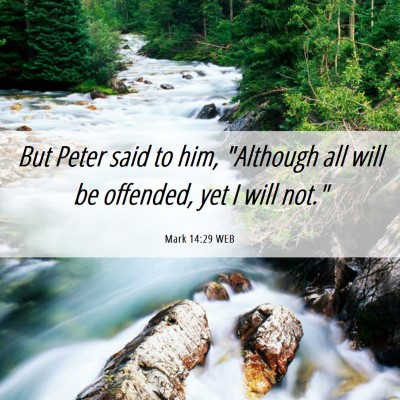 Picture 06 - Mark 14:29 WEB - But Peter said to him, 