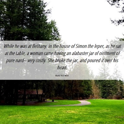 Picture 06 - Mark 14:3 WEB - While he was at Bethany, in the house of Simon - Bible Verse Picture