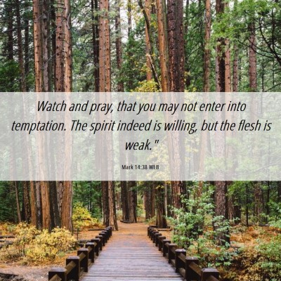 Picture 06 - Mark 14:38 WEB - Watch and pray, that you may not enter into - Bible Verse Picture