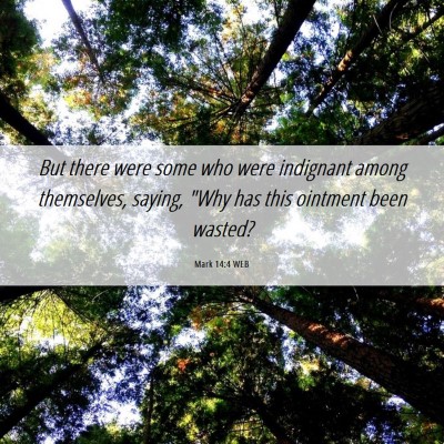 Picture 06 - Mark 14:4 WEB - But there were some who were indignant among - Bible Verse Picture
