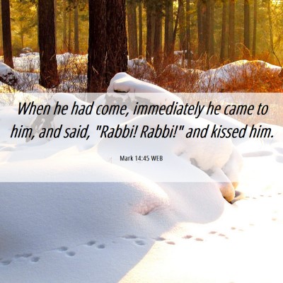 Picture 06 - Mark 14:45 WEB - When he had come, immediately he came to him, and - Bible Verse Picture