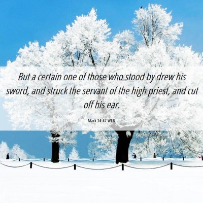 Picture 06 - Mark 14:47 WEB - But a certain one of those who stood by drew his - Bible Verse Picture