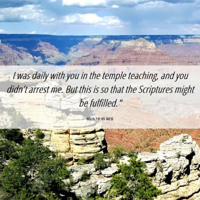 Picture 06 - Mark 14:49 WEB - I was daily with you in the temple teaching, and - Bible Verse Picture