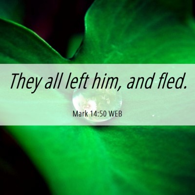 Picture 06 - Mark 14:50 WEB - They all left him, and - Bible Verse Picture