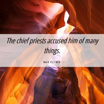 Picture 06 - Mark 15:3 WEB - The chief priests accused him of many - Bible Verse Picture