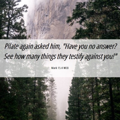 Picture 06 - Mark 15:4 WEB - Pilate again asked him, 