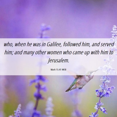 Picture 06 - Mark 15:41 WEB - who, when he was in Galilee, followed him, and - Bible Verse Picture
