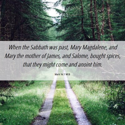 Picture 06 - Mark 16:1 WEB - When the Sabbath was past, Mary Magdalene, and - Bible Verse Picture