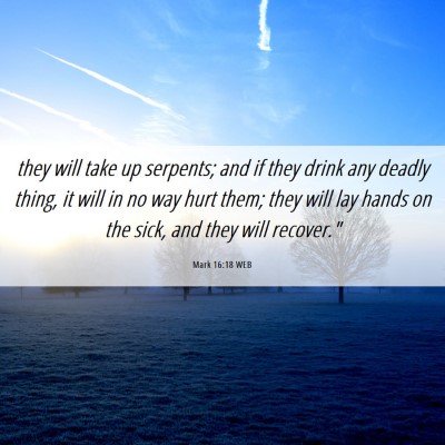 Picture 06 - Mark 16:18 WEB - they will take up serpents; and if they drink any - Bible Verse Picture