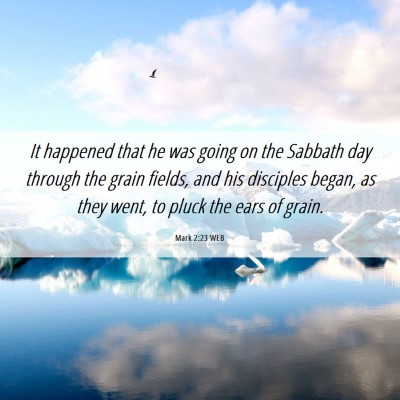 Picture 06 - Mark 2:23 WEB - It happened that he was going on the Sabbath day - Bible Verse Picture