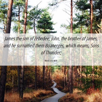 Picture 06 - Mark 3:17 WEB - James the son of Zebedee; John, the brother of - Bible Verse Picture
