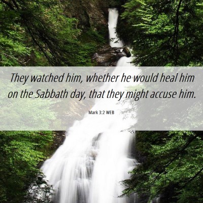 Picture 06 - Mark 3:2 WEB - They watched him, whether he would heal him on - Bible Verse Picture