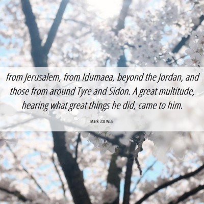 Picture 06 - Mark 3:8 WEB - from Jerusalem, from Idumaea, beyond the Jordan, - Bible Verse Picture