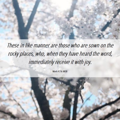 Picture 06 - Mark 4:16 WEB - These in like manner are those who are sown on - Bible Verse Picture