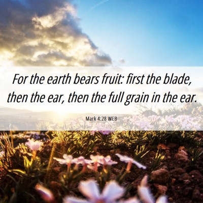 Picture 06 - Mark 4:28 WEB - For the earth bears fruit: first the blade, then - Bible Verse Picture
