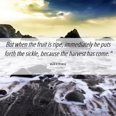 Picture 06 - Mark 4:29 WEB - But when the fruit is ripe, immediately he puts - Bible Verse Picture