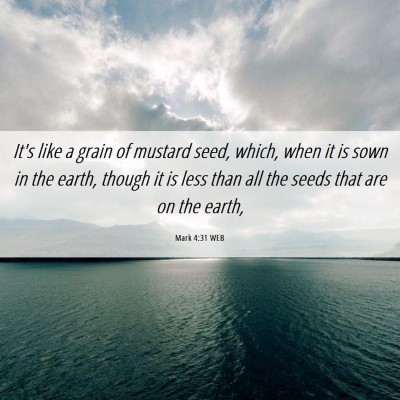 Picture 06 - Mark 4:31 WEB - It's like a grain of mustard seed, which, when it - Bible Verse Picture