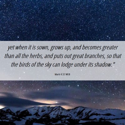 Picture 06 - Mark 4:32 WEB - yet when it is sown, grows up, and becomes - Bible Verse Picture