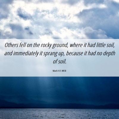 Picture 06 - Mark 4:5 WEB - Others fell on the rocky ground, where it had - Bible Verse Picture