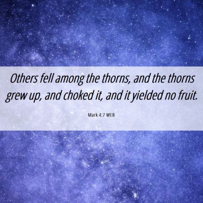 Picture 06 - Mark 4:7 WEB - Others fell among the thorns, and the thorns grew - Bible Verse Picture