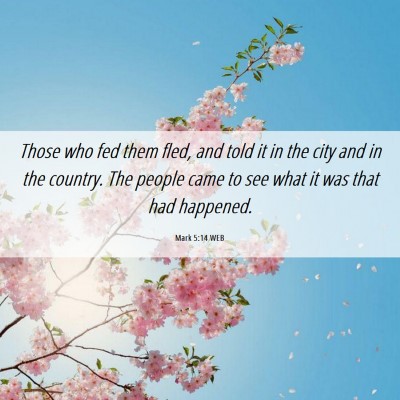 Picture 06 - Mark 5:14 WEB - Those who fed them fled, and told it in the city - Bible Verse Picture