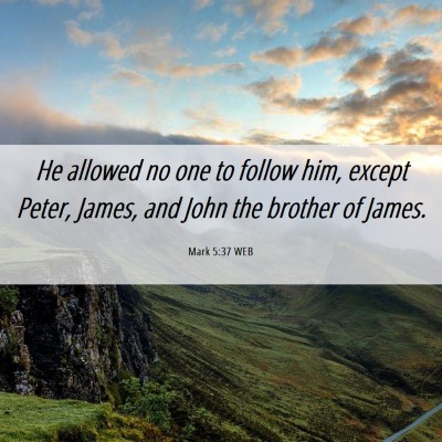 Picture 06 - Mark 5:37 WEB - He allowed no one to follow him, except Peter, - Bible Verse Picture