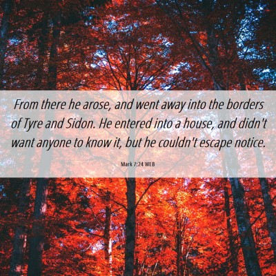 Picture 06 - Mark 7:24 WEB - From there he arose, and went away into the - Bible Verse Picture